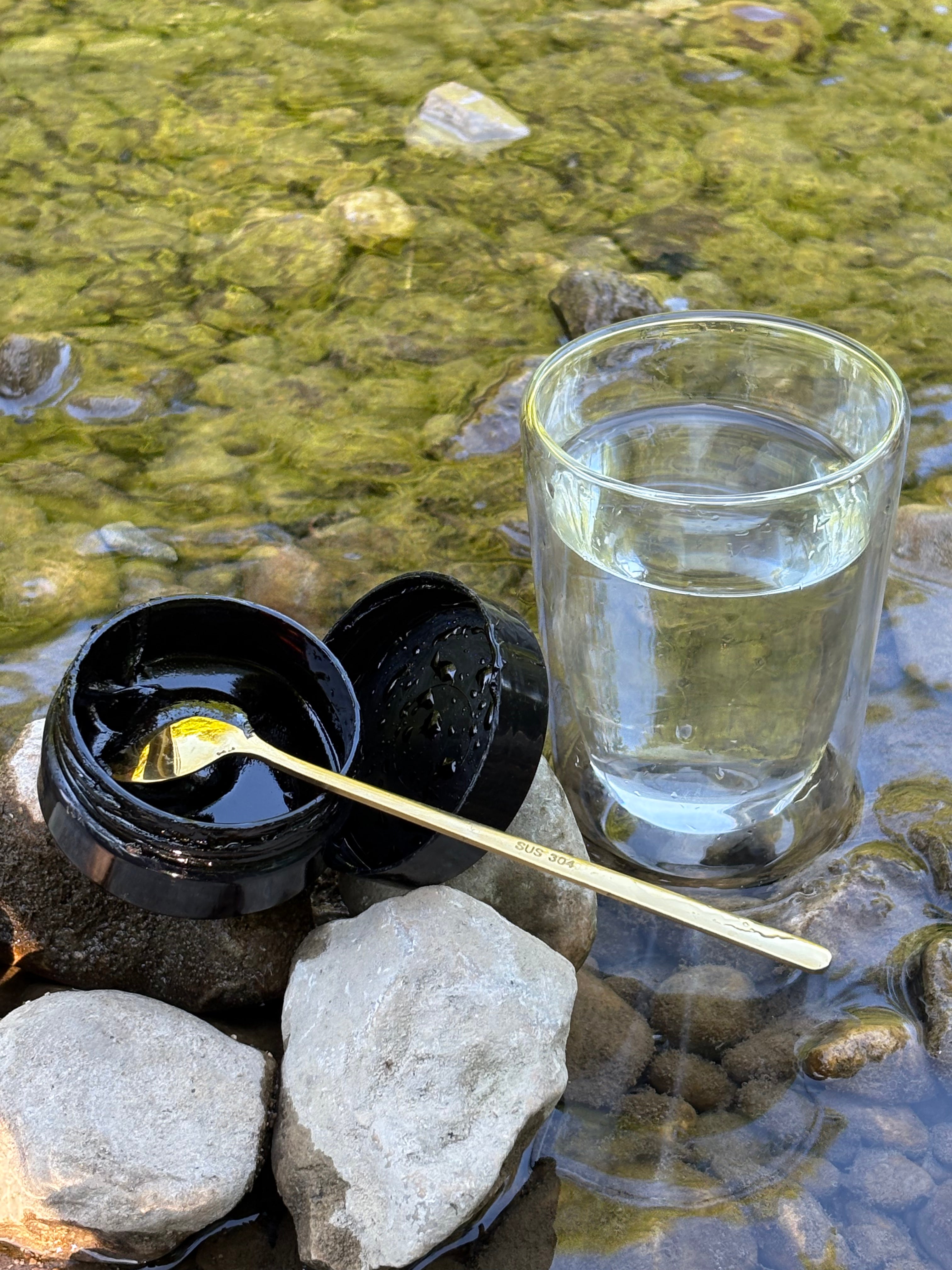 Shilajit Pur de Russie