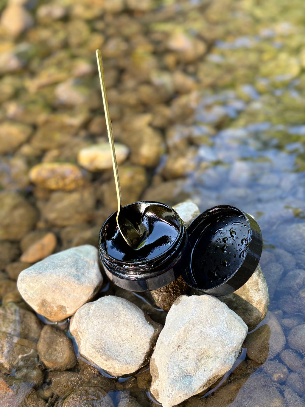 Shilajit Pur de Russie